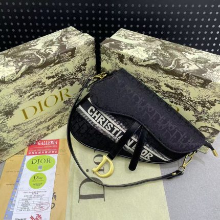 Dior حقيبة