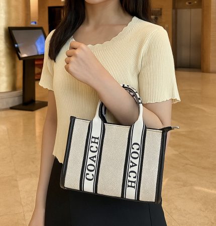 Coach حقيبة حجم صغير