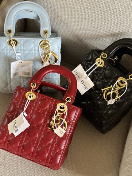 Dior حقيبة